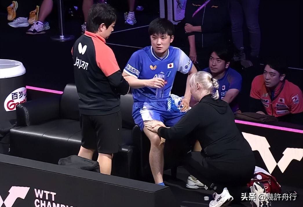 日本队轻取波兰队，张本智和点燃赛场
