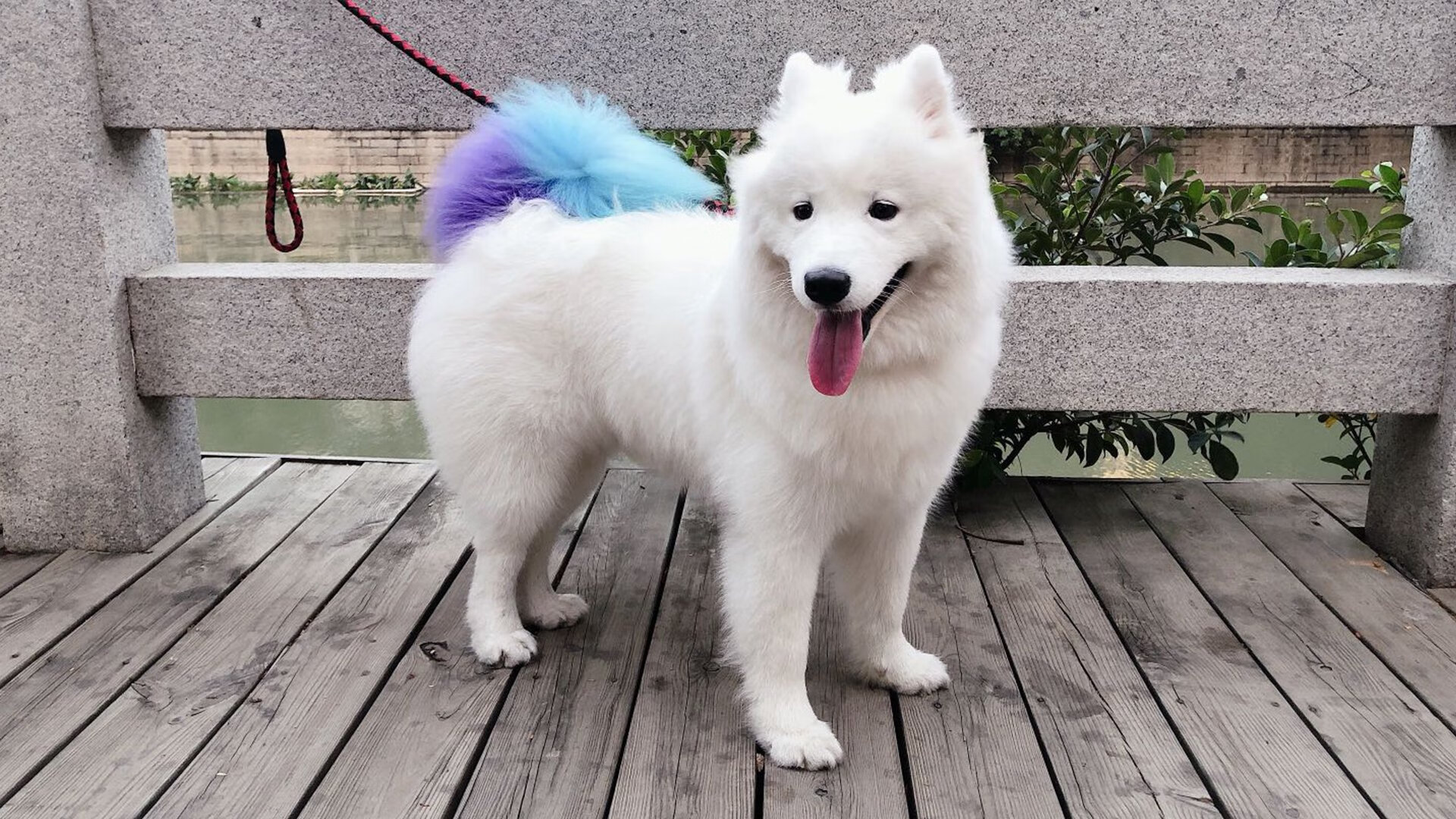 1.01与0.99的平方根—在绝杀与纪录之间，人类突破的同一种算法