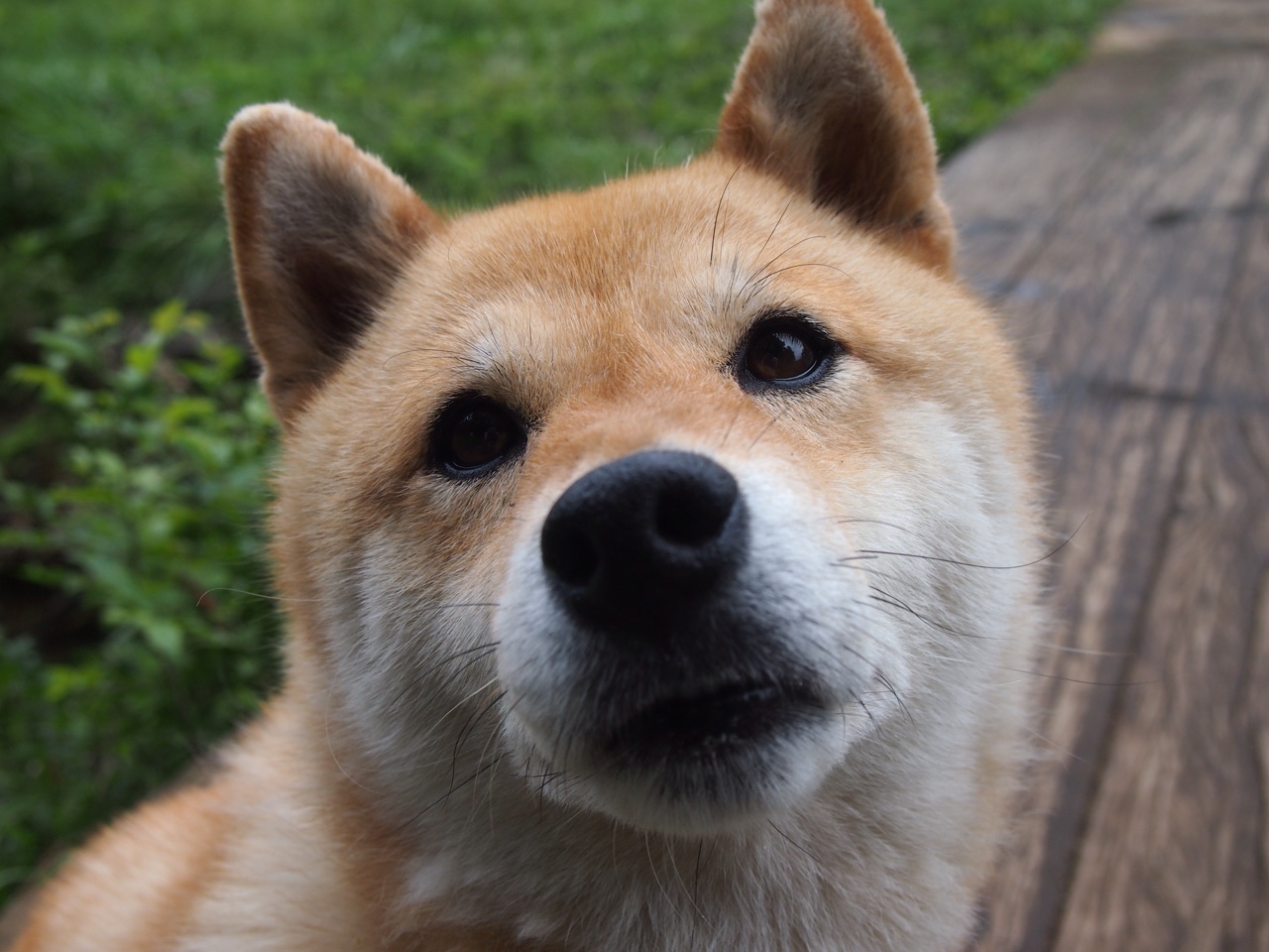 终结者巴萨与孤胆英雄布鲁诺,一场定义团队与个人的夜晚