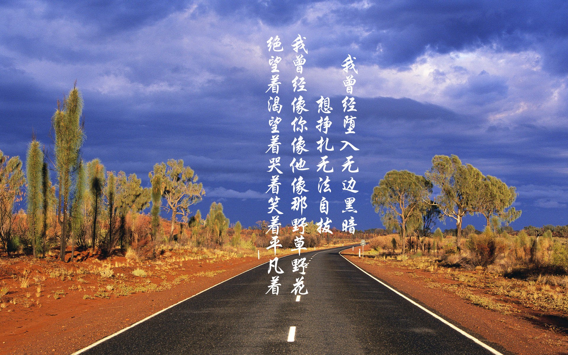 风暴眼凯塞多!安哥拉正面碾压牙买加,关键先生一锤定音