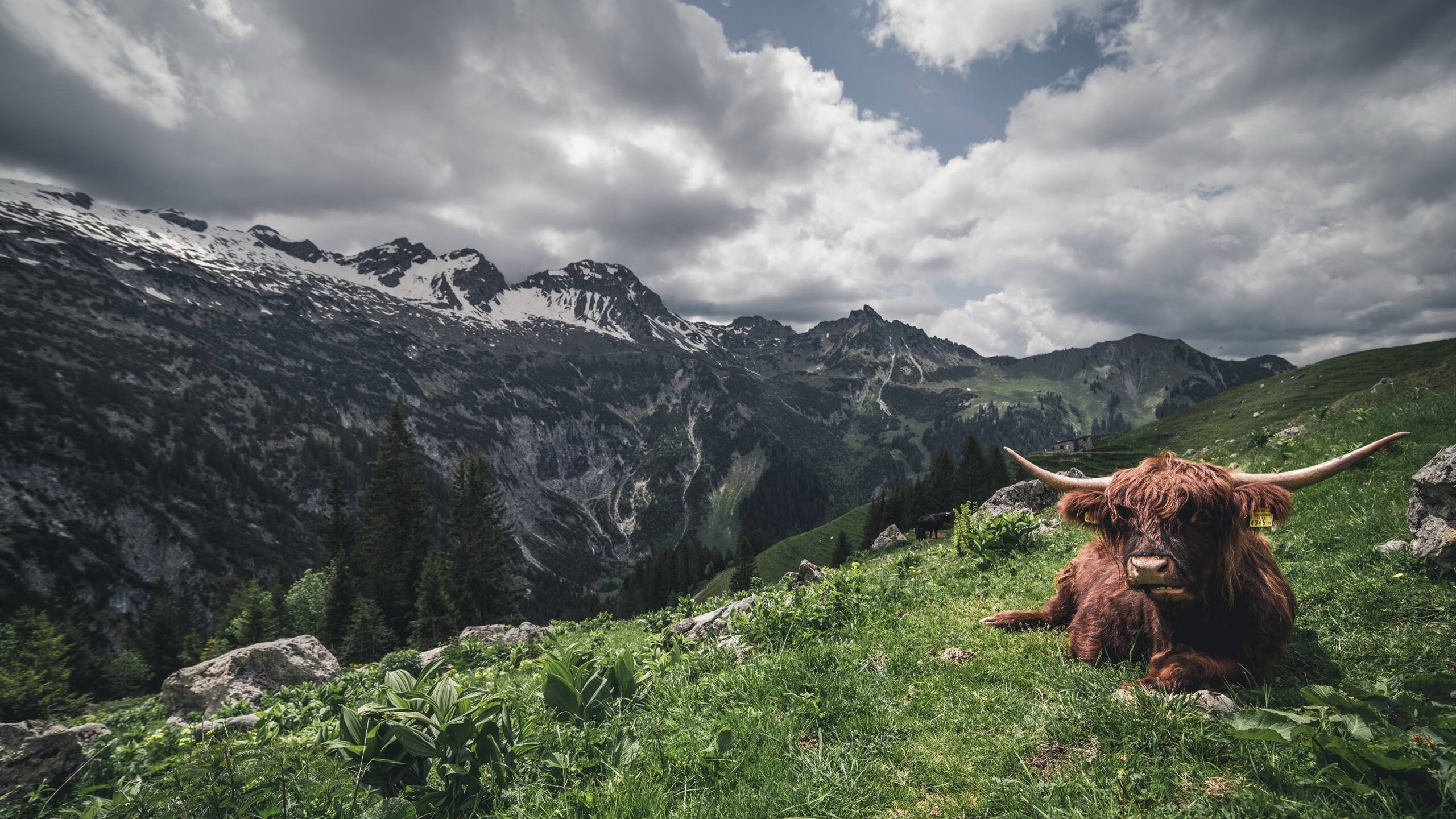 爱游戏tv-戈贝尔生涯之夜封神，掘金血拼76人加时险胜
