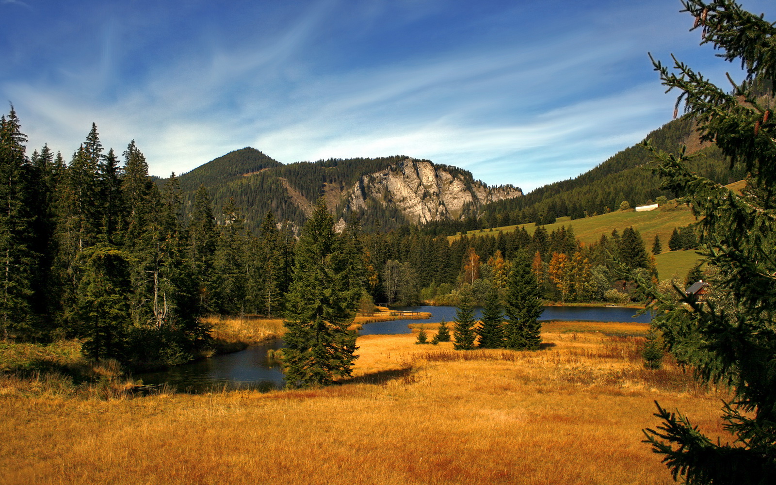 谁说他是三当家？马克西独挑大梁，独行侠的胜利被他刻上马氏烙印