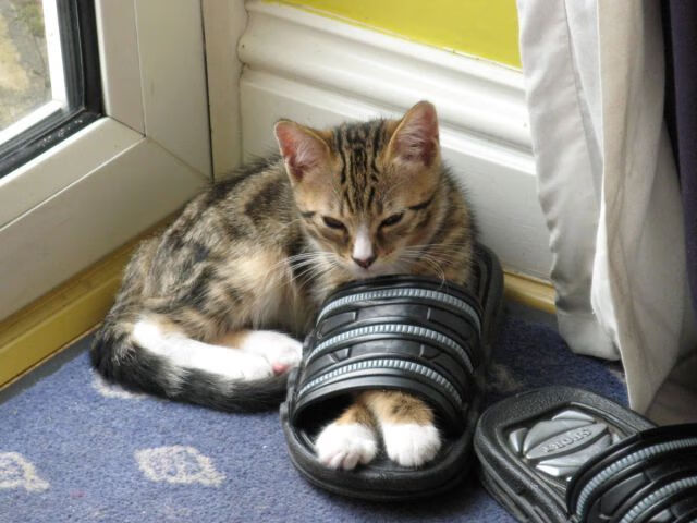 俄城幻境，当勒布朗身穿广厦战袍对阵雷霆