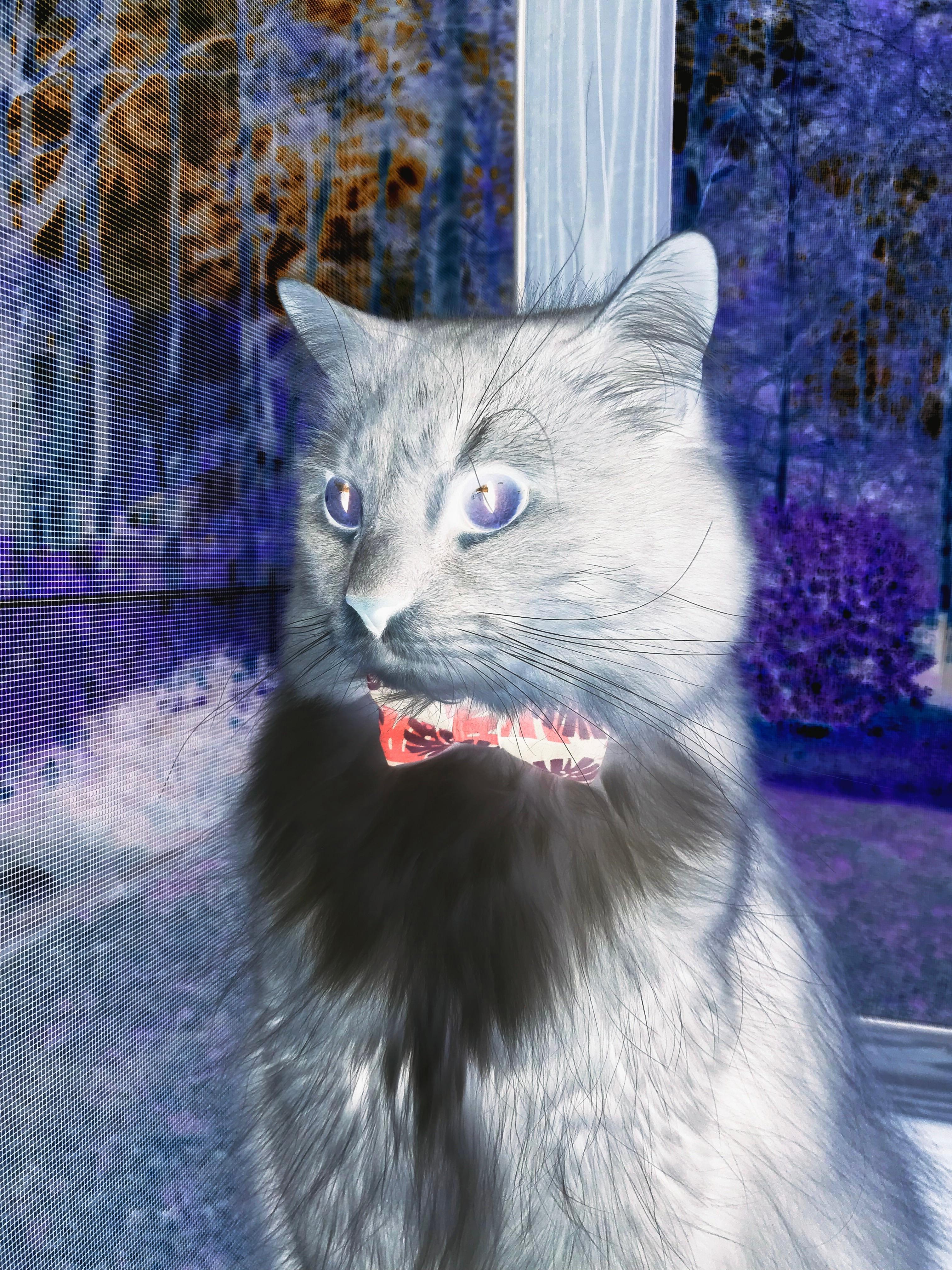 隔空交锋，极致魅力，当西甲德比与CBA巅峰战同夜绽放