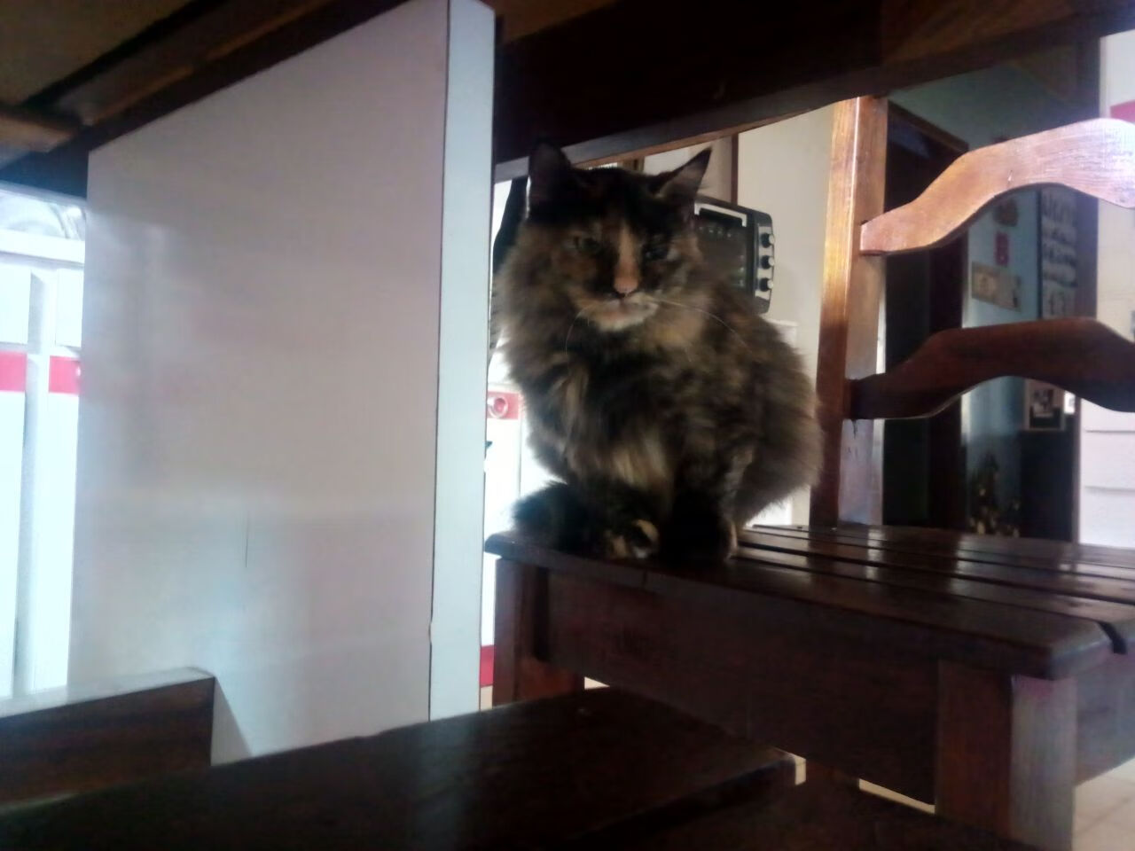 拉文关键先生显威，广东队正面击溃深圳队，豪取胜利！