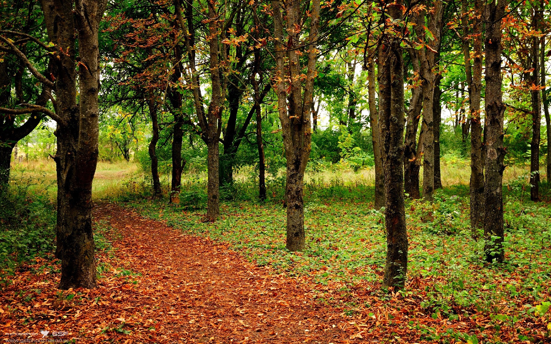伊萨克的无解魔力与那不勒斯的东方压制，足球世界的双重奏