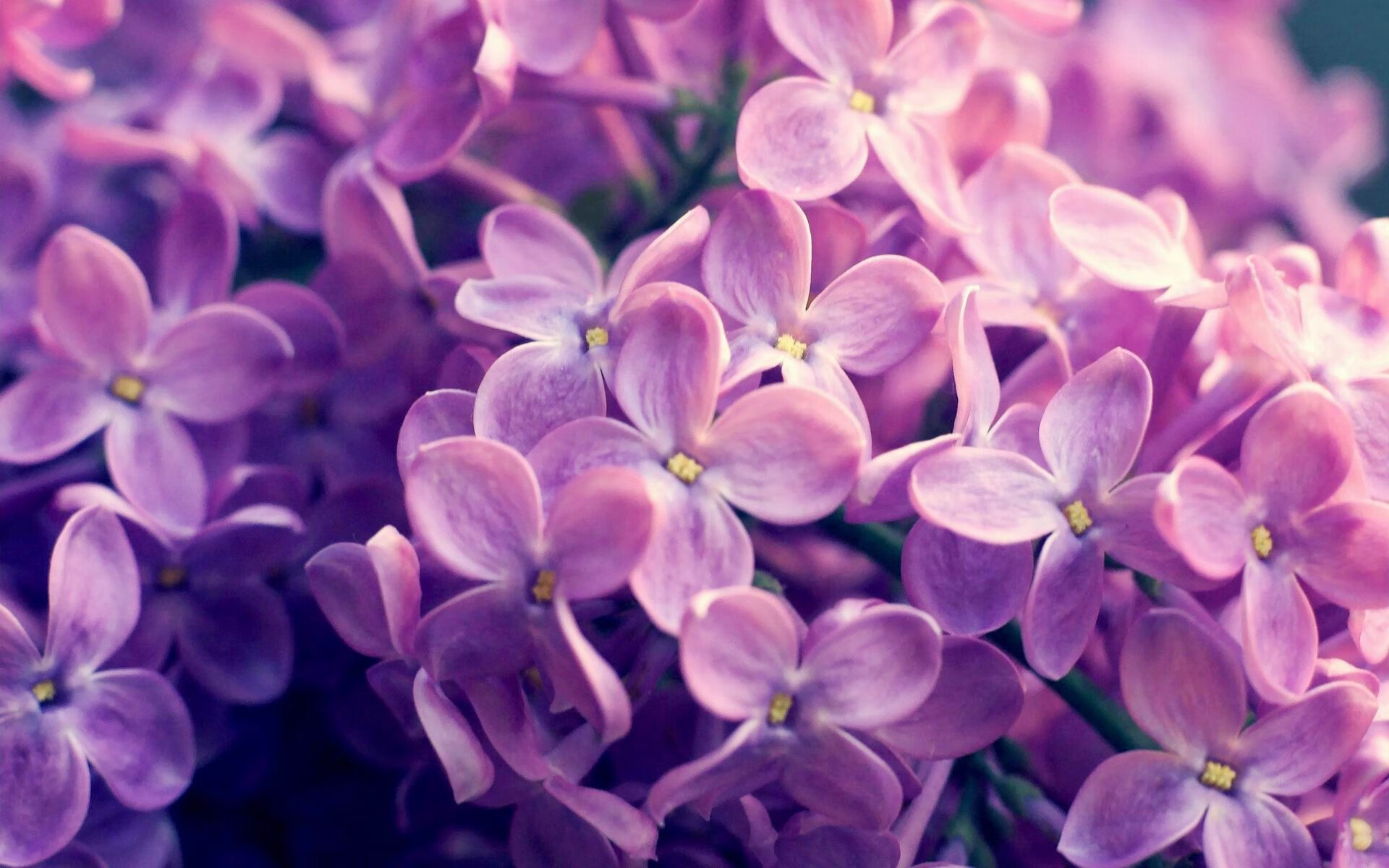 欧冠半决赛之夜，当卡马文加将球场切割成碎片