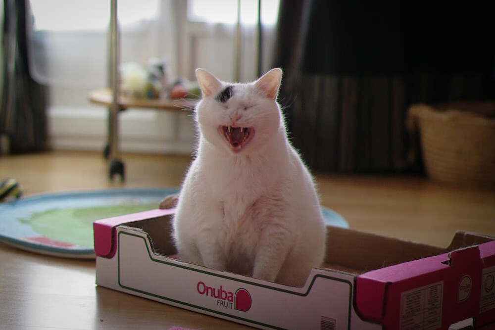 绝境展翅，切特定音，老鹰险胜开拓者背后的致命一击与沉默蜕变