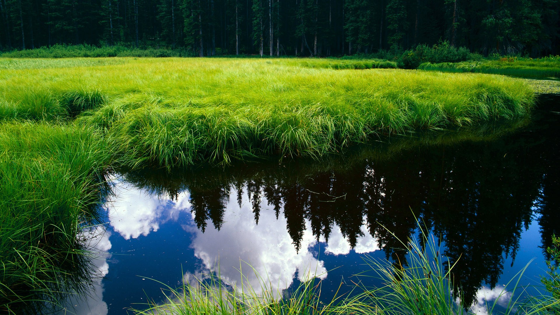 欧冠淘汰赛之夜，阿劳霍，那把名叫冷静的钥匙