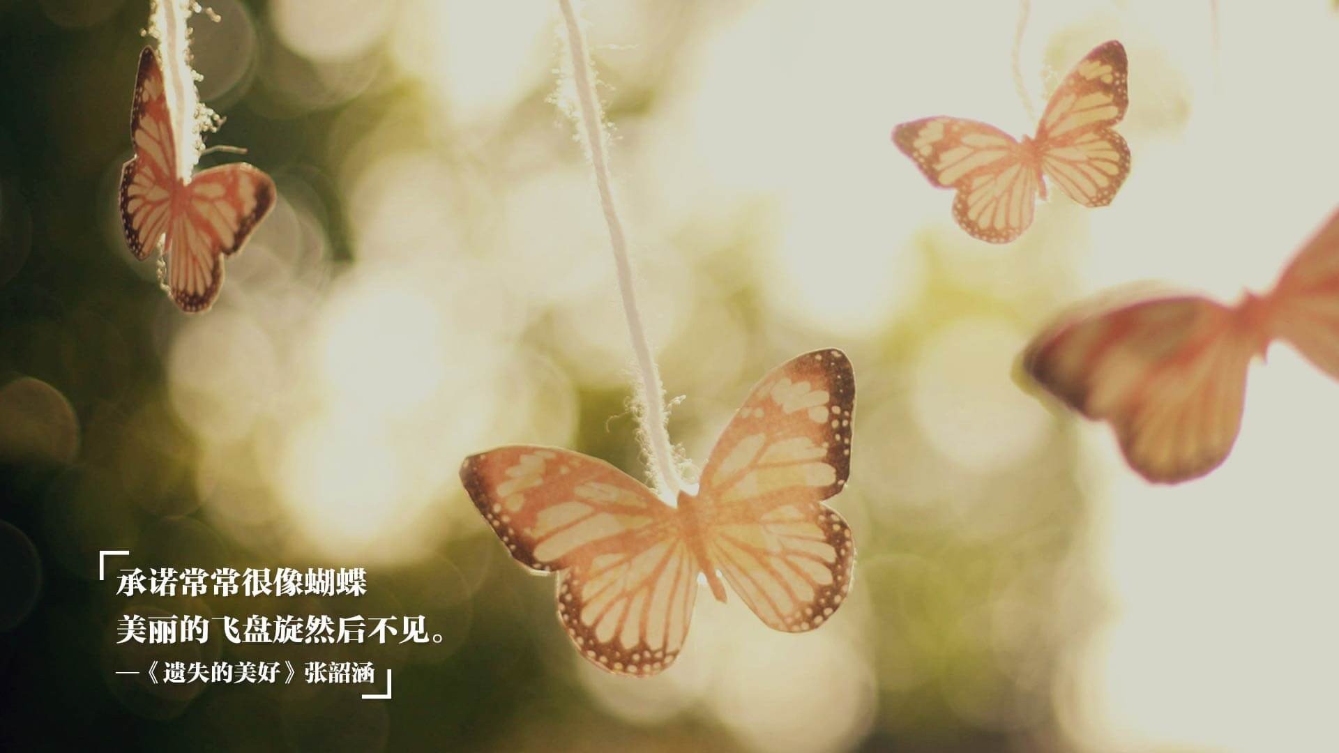 沙漠风暴席卷北美劲旅,莱万王者归来,突尼斯碎墨西哥世界杯梦