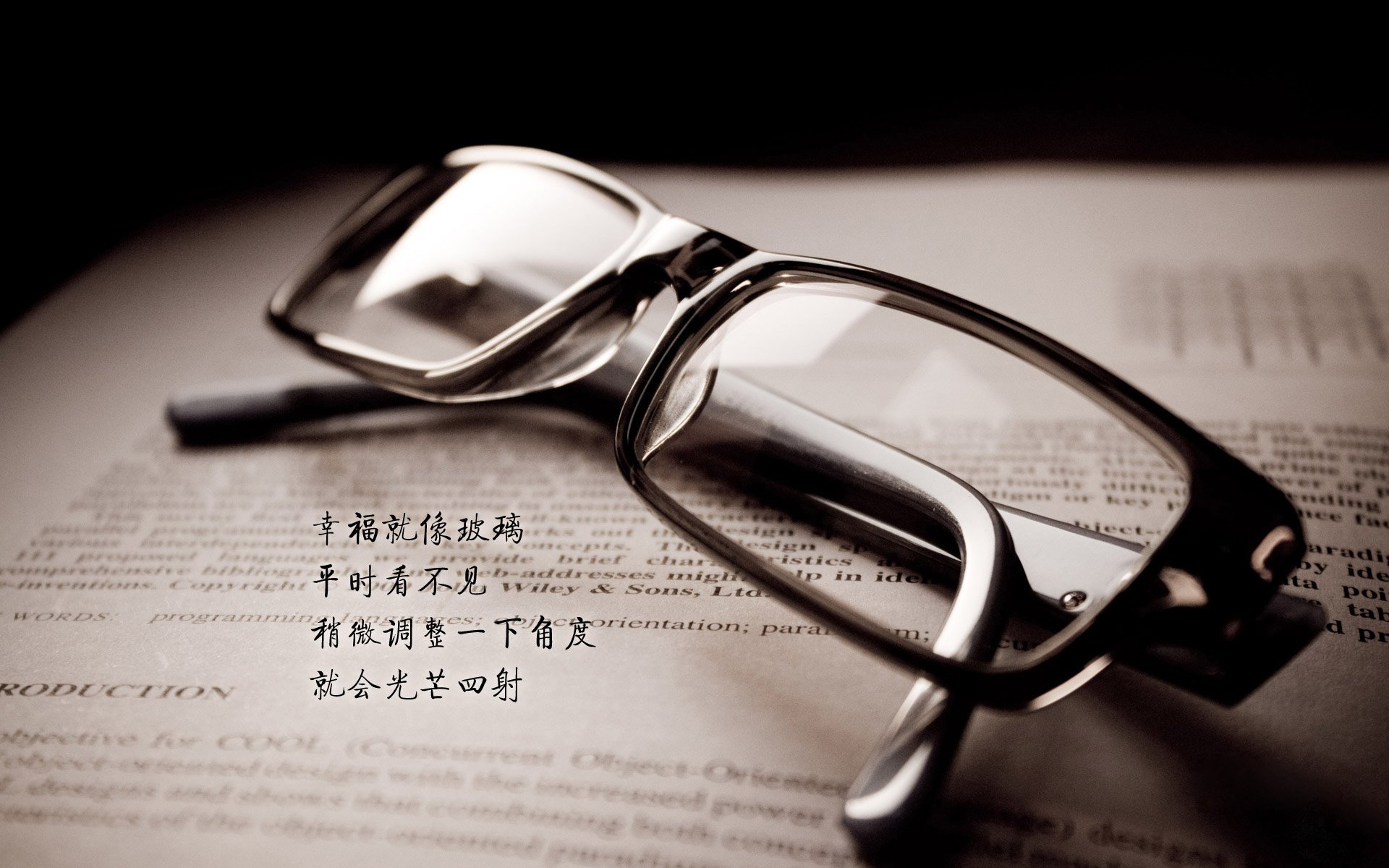 唯一性的绿茵战场，2026世界杯D组，孙兴慜用不屈意志定义荷兰与罗马尼亚的宿命对决