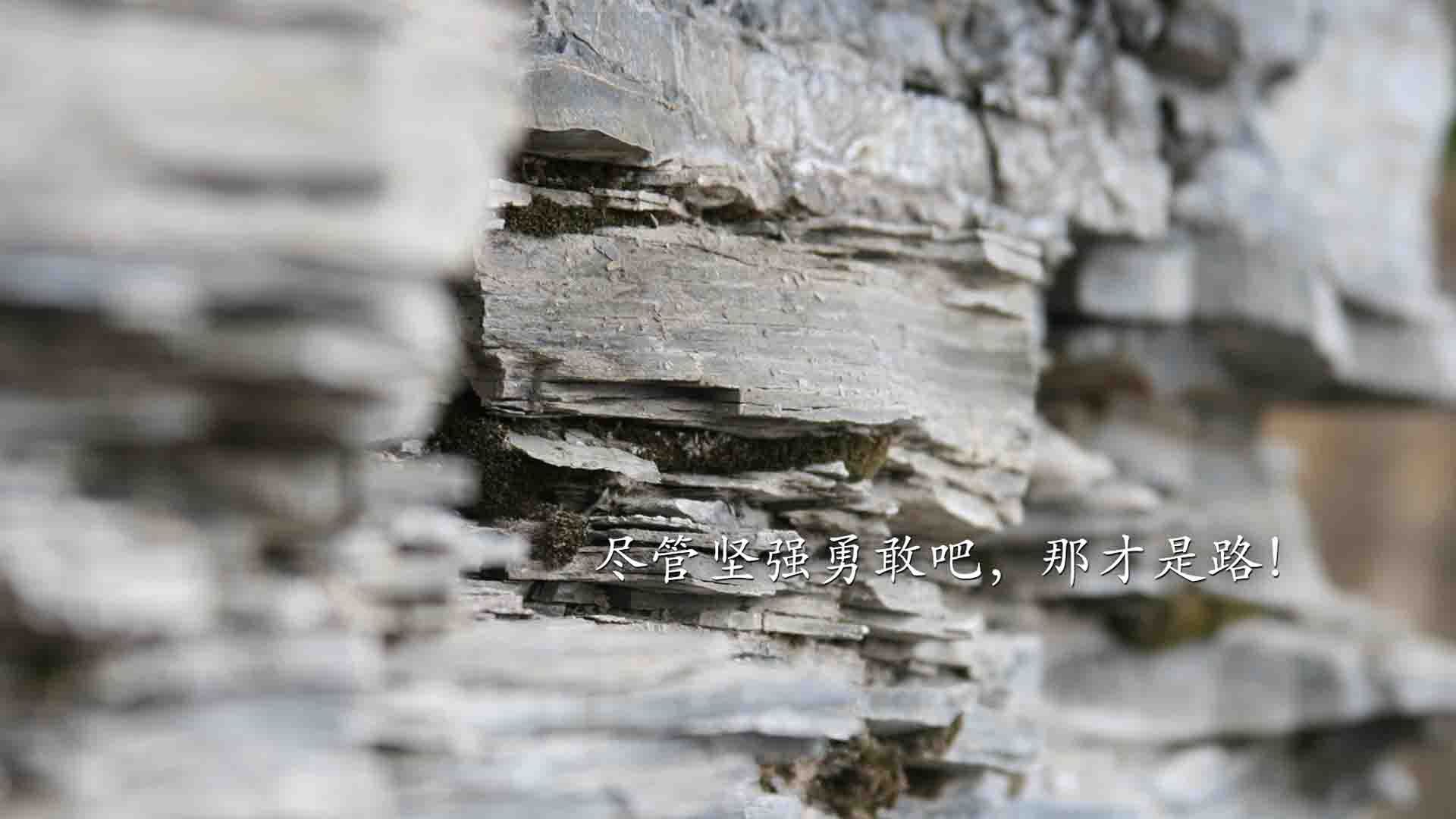 1.节奏熔炉,当哈兰德在A组点燃哥伦比亚与罗马尼亚的闪电战(突出节奏与个体爆点)